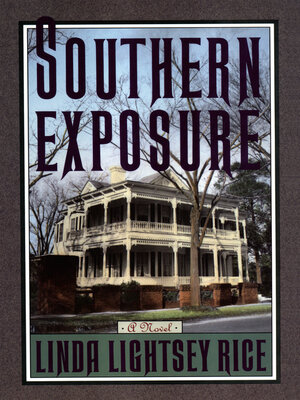 cover image of Southern Exposure